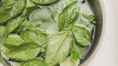 garnishing-instructions-image